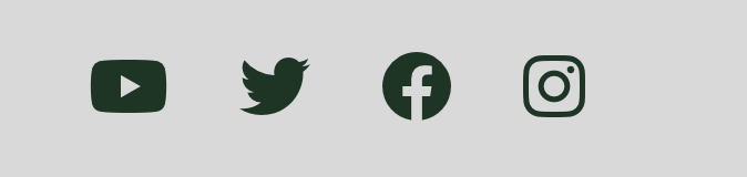 Social media icons example